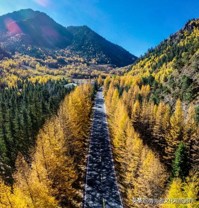 秋风叩黄南，一场与山水私语的秋日浪漫邀约
