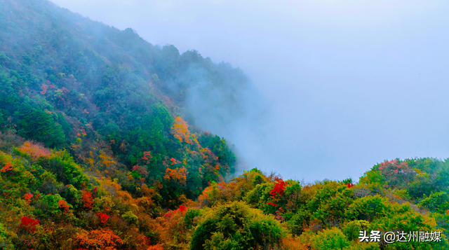 错过等一年！巴山大峡谷秋色刚开场，彩林已美成仙境！