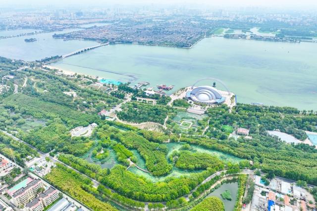 新聊新景丨夏日炎炎何处去？东昌湖畔觅竹荫