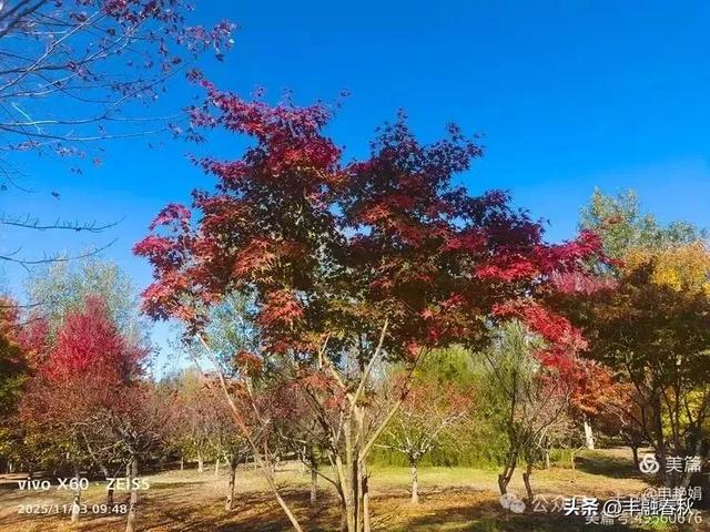 青岛即墨马山寻趣：一座地质公园的秋日私语｜申艳娟