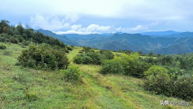 雨后徒步辽阳梨花峪，云雾缭绕｜木栈道、山地草甸、网红秋千