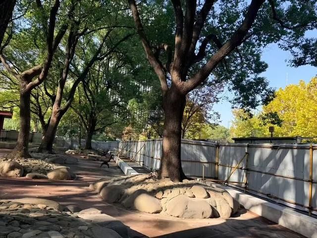 上海市中心又一公园拆除围墙！24小时开放！内藏明城墙和宝藏机位！怎么还有个“灶披间”？