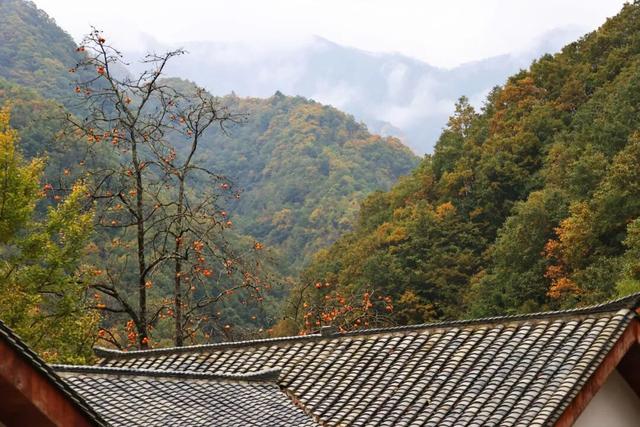 让我再看你一眼🧡