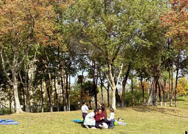 走！晒太阳去！