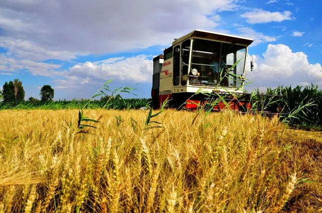 把2026的假期，留给巴彦淖尔的山水