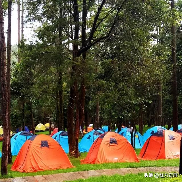 庆中秋·迎国庆｜龙韵帐篷民族歌舞集，邀你共赴一场山水间的盛会