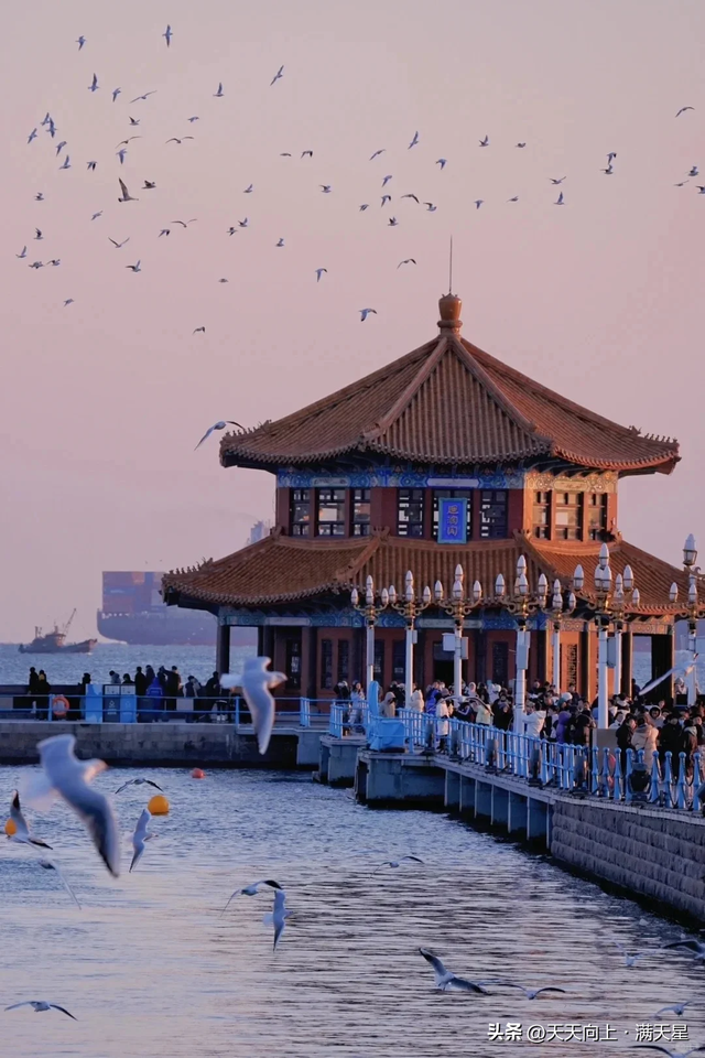 我是成都人，去了趟山东青岛，实在忍不住想说：对青岛的 5 点印象