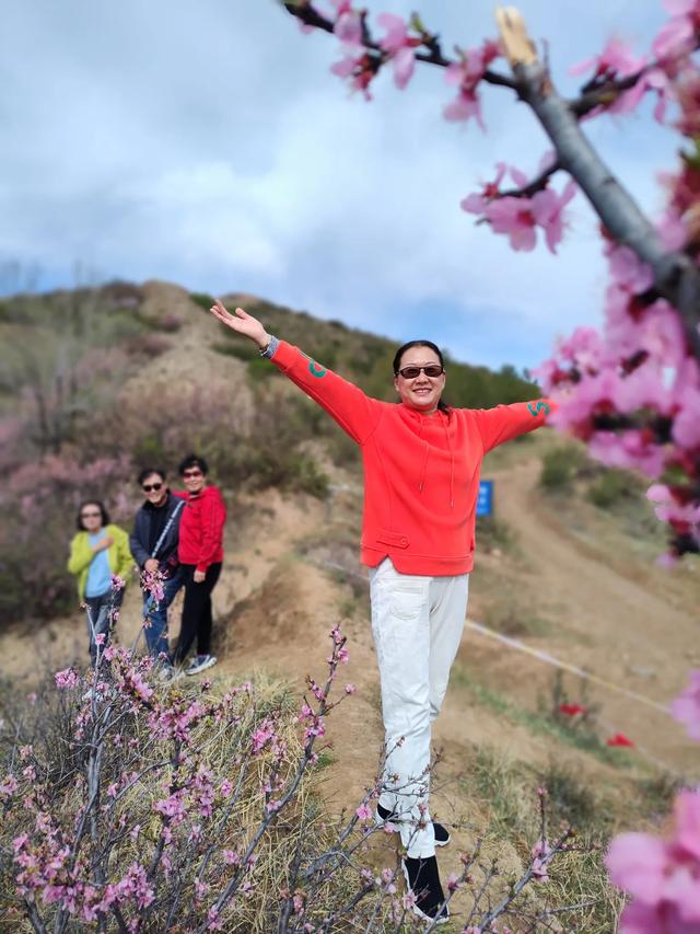 宣化红一师战友军嫂青边口长城赏花照片集