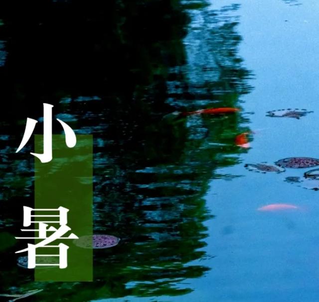 枣庄市文化馆2025年度精彩时刻（四）以文塑旅促融合 荣誉见证显担当