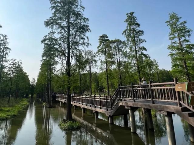 秘不外传的秋光！淀山湖"小洱海"私藏渔村日落×彩虹夜光