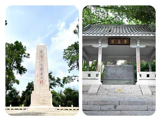 龙峰塔下，聆听龙华三十余载步履与回响