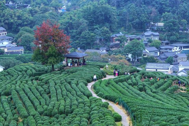 杭州必去的8个景点，去过一半算及格，去过6个算优秀，你去过几个