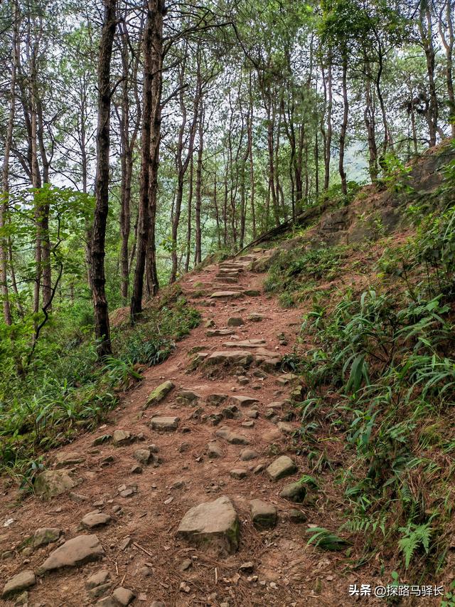 重庆主城藏了条“摆烂”步道：公交直达，轻松原始，就是有点费嘴