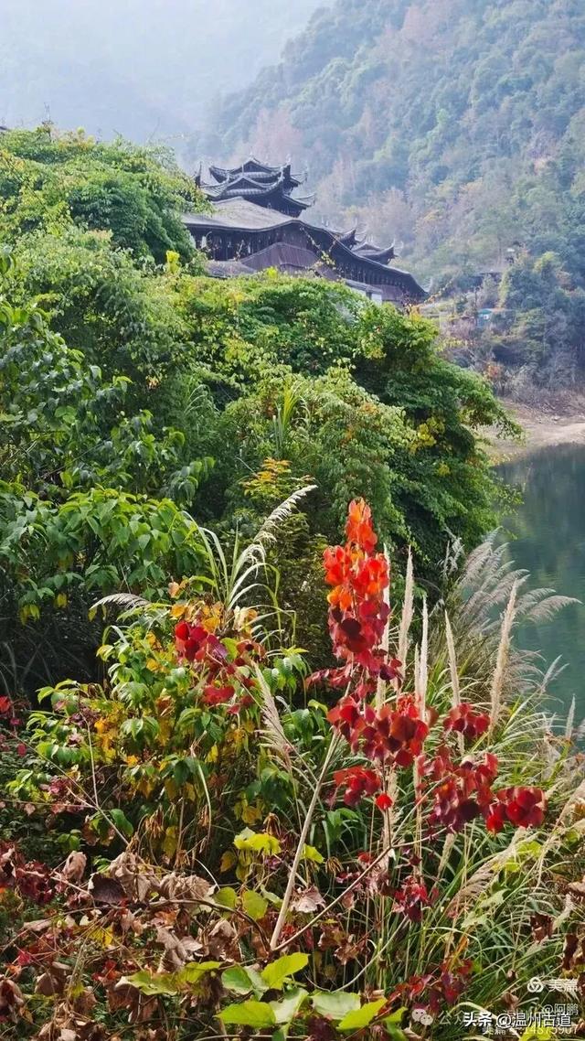 两毁两建,三廊相连,这座全国最长的木拱廊桥,就在温州!