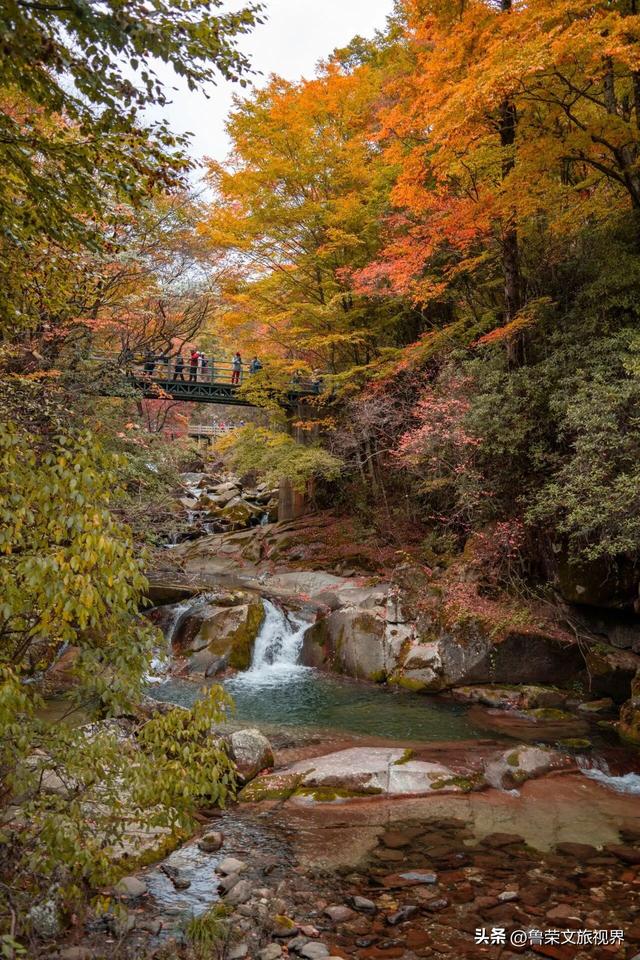 光雾山：川陕腹地的红叶秘境与千年回响