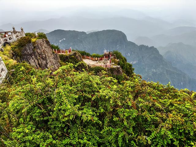 四川旅游：三到两佛山曲折纪行（图）
