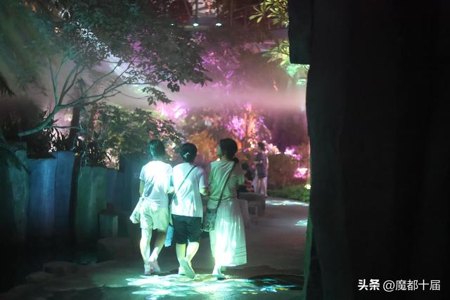 温室花园夜游启幕！下雨浇不灭游客热情