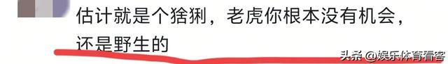 湖北恩施一村民干农活时被老虎抓伤：持锄头敲了它几下 摇摇头走了