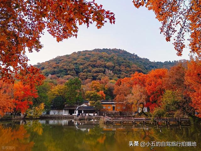 苏州秋日园林终极攻略：9个秘境藏着限定，人少出片附精准指南