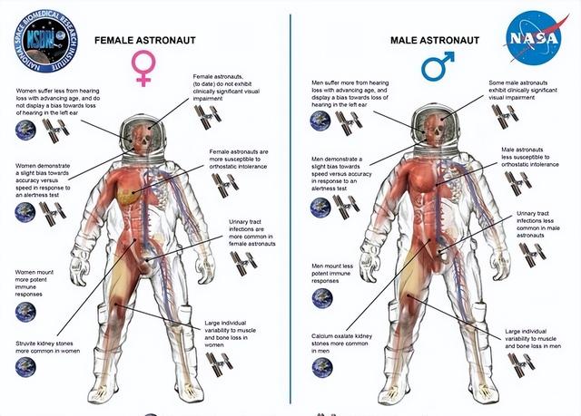 相比男性宇航员，为何女宇航员特别少？她们在太空上如何生活？