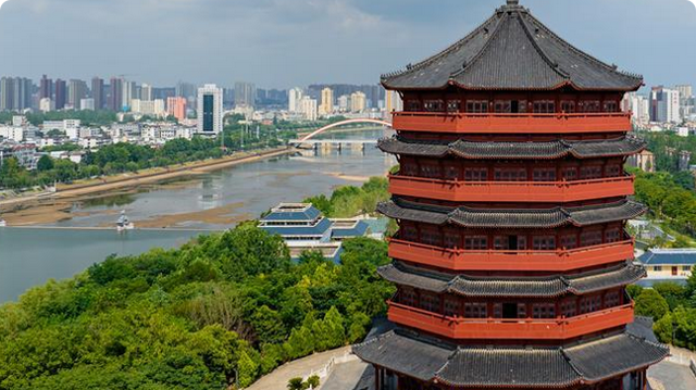 大量浙江人涌入河南信阳，打着旅游的幌子，不喝毛尖不进茶山	，