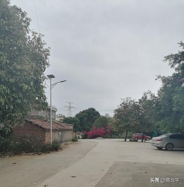 广西南宁市武鸣区有两个地方叫旧圩，唯有马头旧圩历史悠久