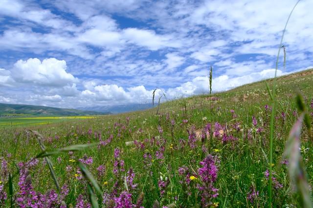 在乌鞘岭的风里，听见汉唐的马蹄与驼铃