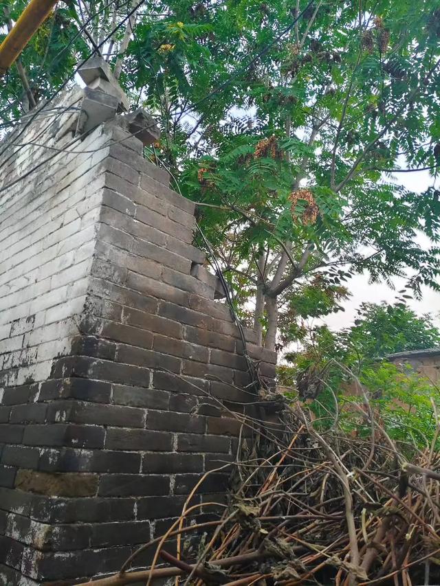 王占元孟仵遇恩人