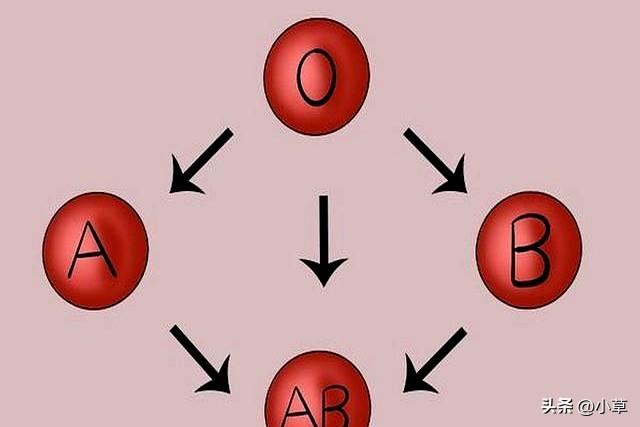 血型决定寿命长短？美国60万人研究：A型血或“天生”更易中风!