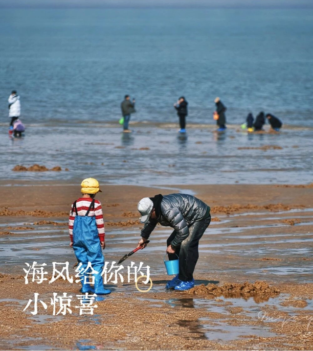 3月，连云港这些景区免费！