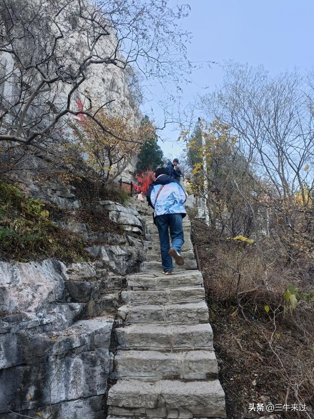 无为在歧路，漫游青州城