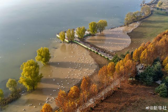 初冬里的大美中国