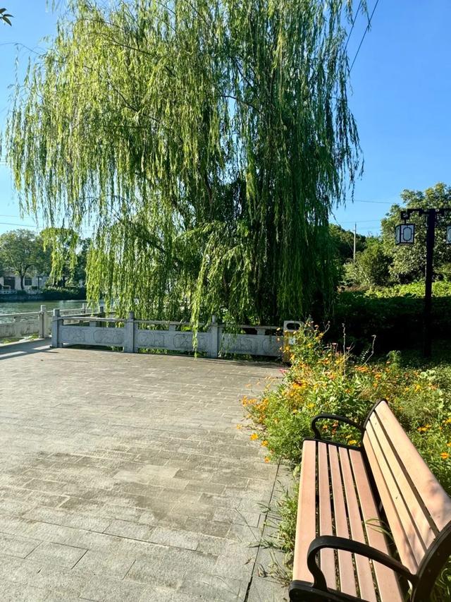 实地探访“江苏美丽乡村”、丹阳访仙镇草塘村漂亮的乡村环境