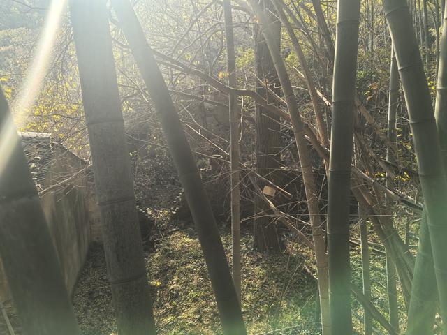 南京第二次到镇江武岐山空青山郊野徒步