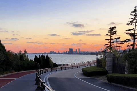 反复爱上日照的理由，藏在碧海路的橘子海里！