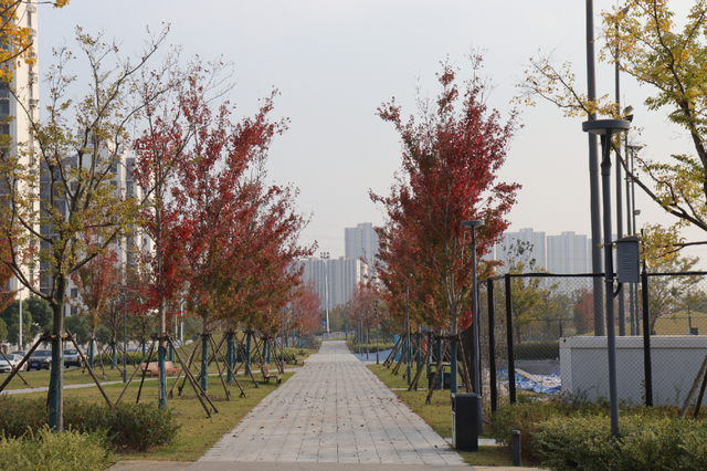 超出片！江阴这些地方“红了”！