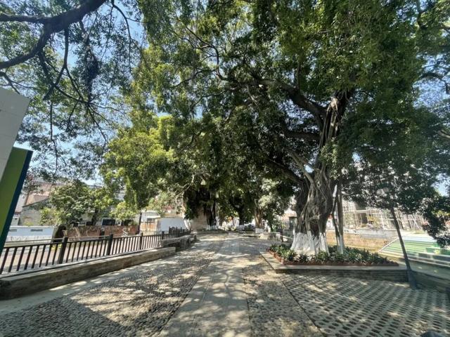 春节没玩够？这个周末游乡村，为快乐“续费”