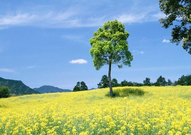 20句霸气宣言，展现孤身一人的无畏姿态！