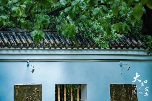 下雨天，大渡口这些地方美成「烟雨江南」，快去拍！