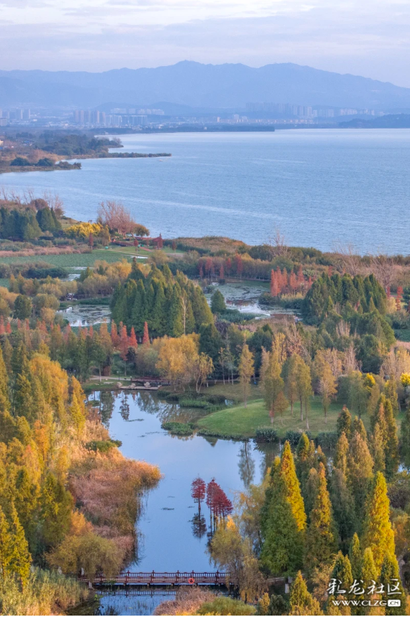 旅居云南·昆明好在（二十八）避寒游邂逅春城美