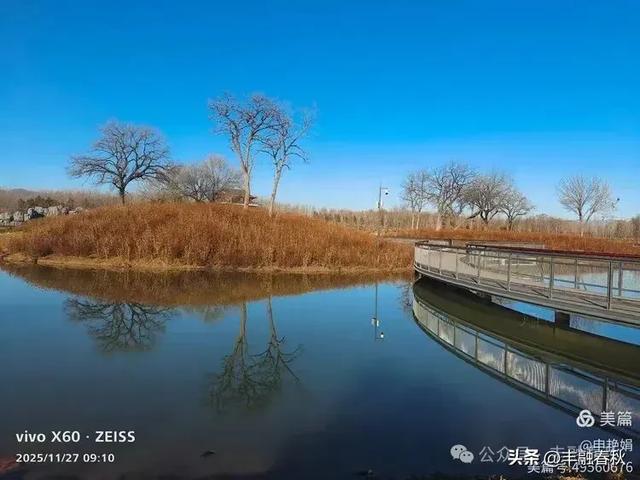 初冬北京玉河湿地公园游记｜申艳娟