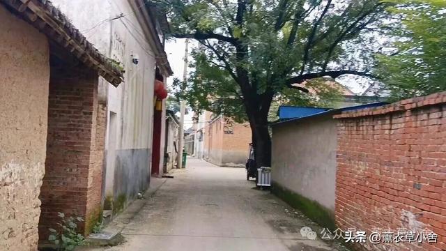 焦作这个“黄瓜村”，竟藏着2座千年古墓