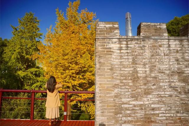 上海市中心又一公园拆除围墙！24小时开放！内藏明城墙和宝藏机位！怎么还有个“灶披间”？