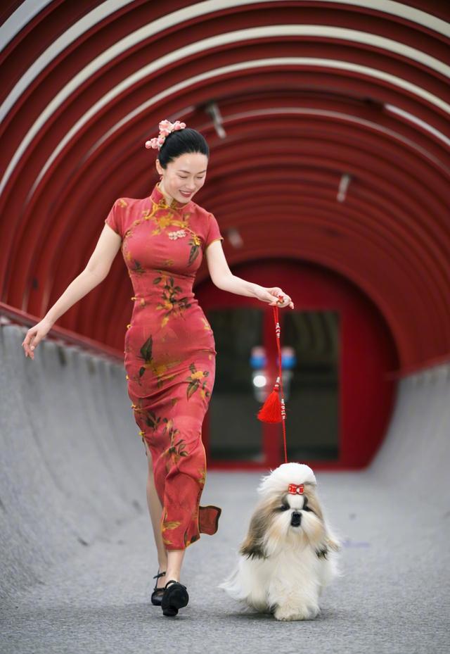 霍思燕同志个人简历