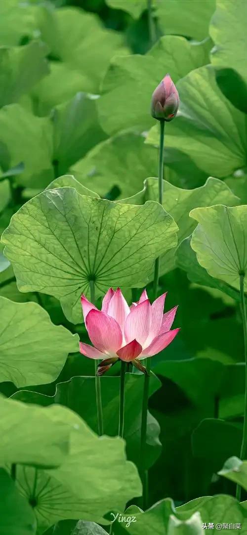 一年四季中哪个季节的景色最美