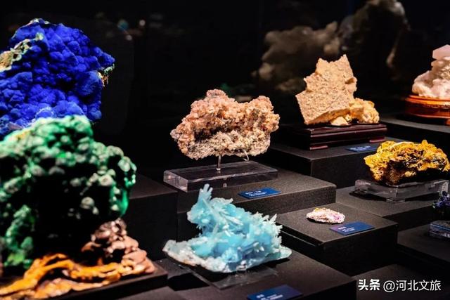 一个城市拥有100家博物馆是什么体验？快来一场酣畅淋漓的博物馆漫游
