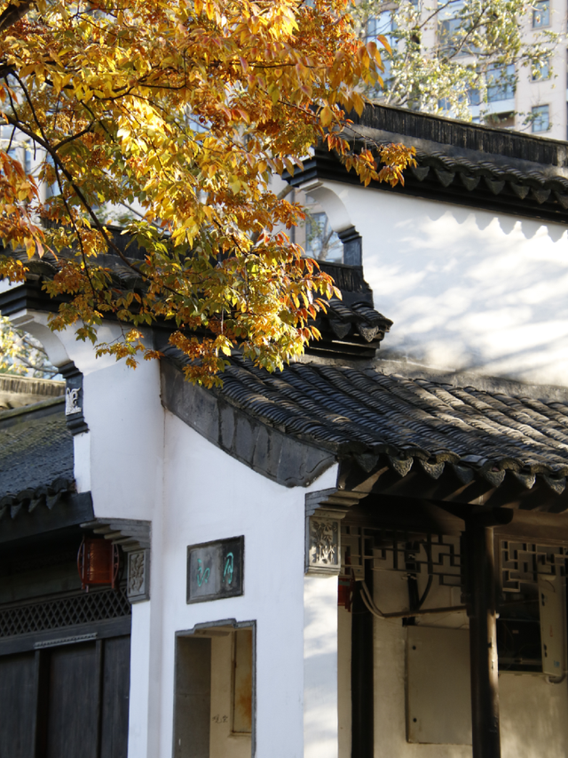 超出片！江阴这些地方“红了”！