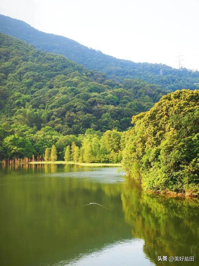 轻徒步+大草坪+梦幻夜市……这才是周末的正确打开方式