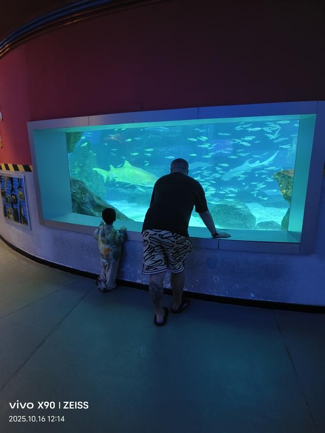 成都 极地海洋公园（58）2025年10月16日