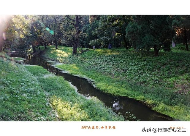 山东行游影记（226）—曲阜孔林（二）